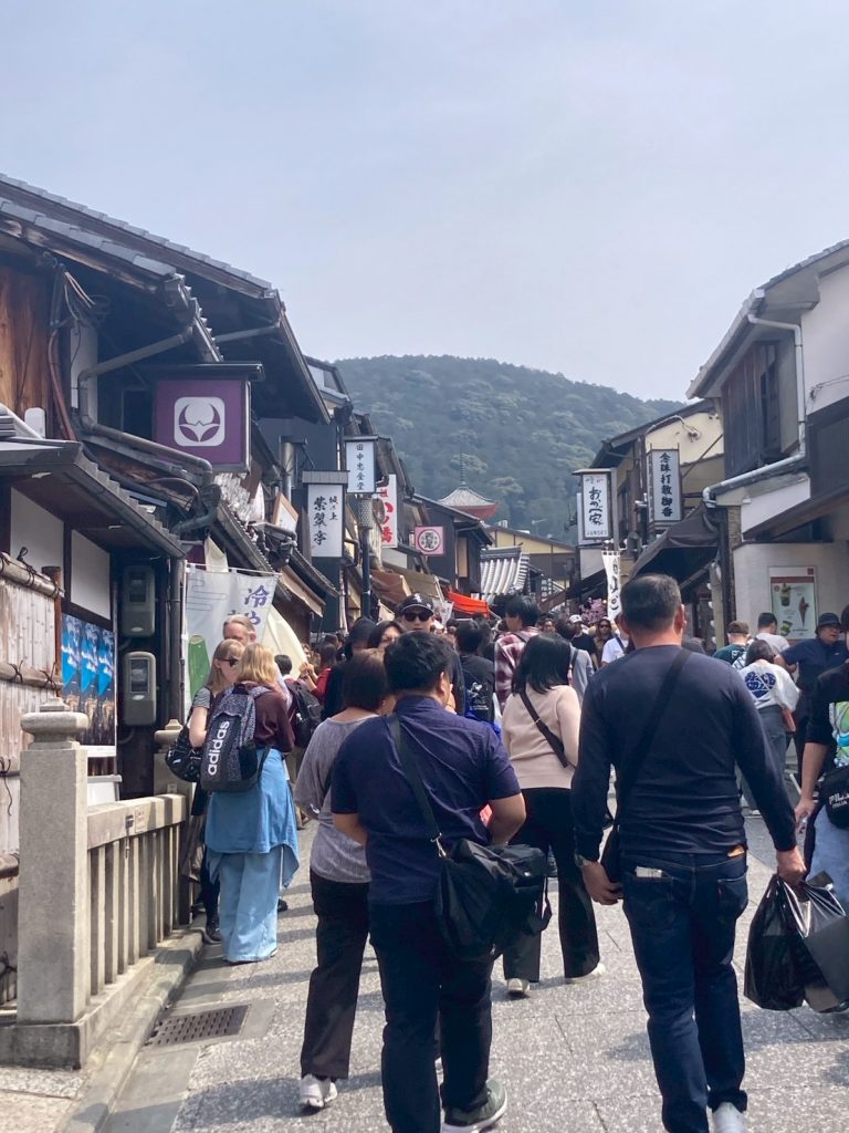 【 名古屋発 】3月29日 京都東山地区フリータイム＆約1.4kmにもおよぶ桜並木！ 背割堤の桜のトンネル　結果報告