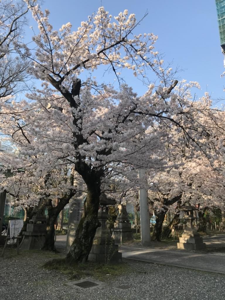 結婚相談所を始めて、つまずいたこと(＠_＠;)そして学んだこと♪