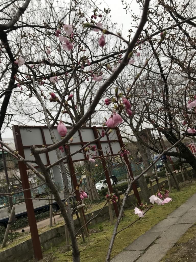 f:id:yumi-sugiura:20180319194429j:plain f:id:yumi-sugiura:20180319194429j:plain