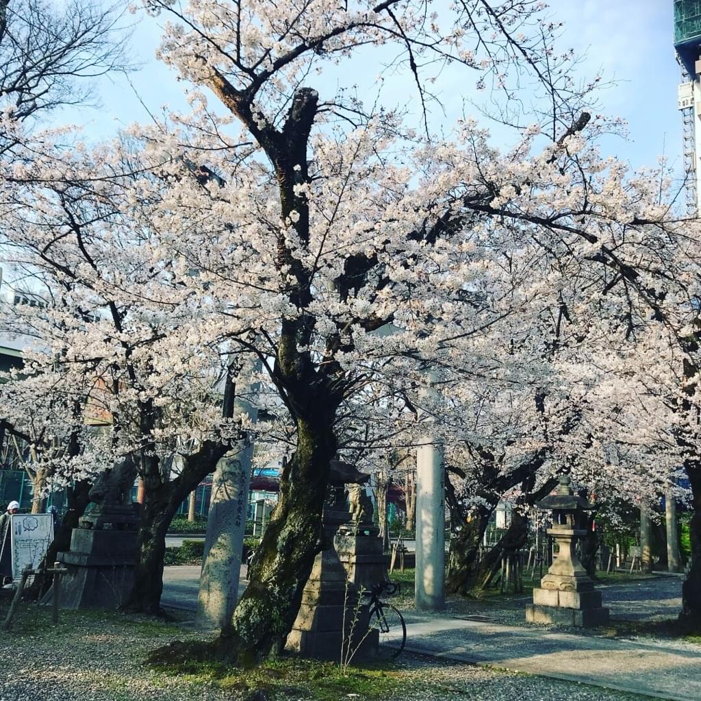コミュニケーションっていうけれど、その前に大切なことは自己嫌悪感かな