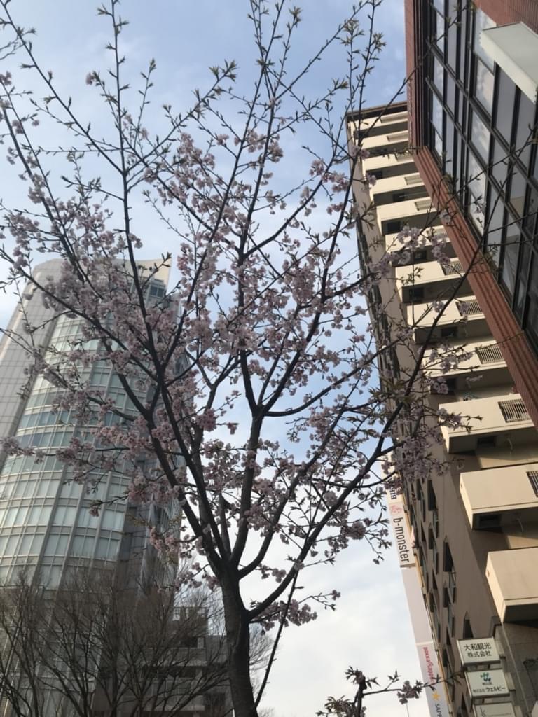 f:id:yumi-sugiura:20180315233621j:plain