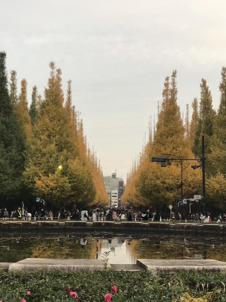 f:id:yumi-sugiura:20181129194032j:plain