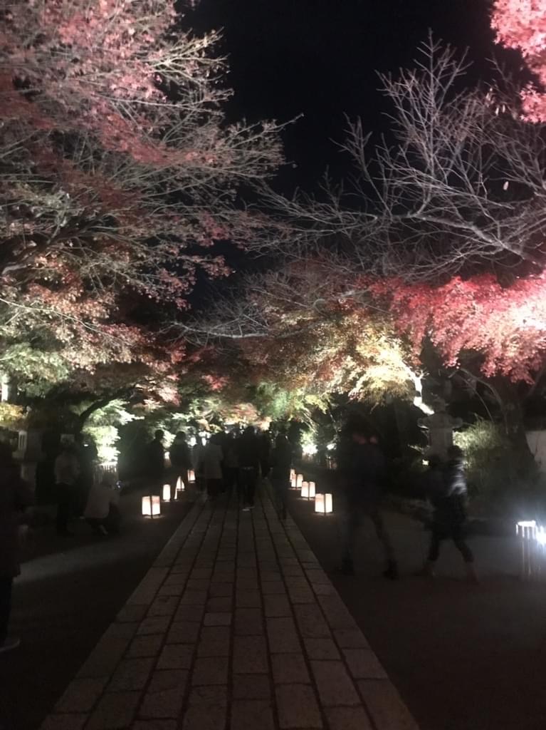 一人では生きられない！手を差し伸べられる人でいたいなと実感した１日でした(^^)