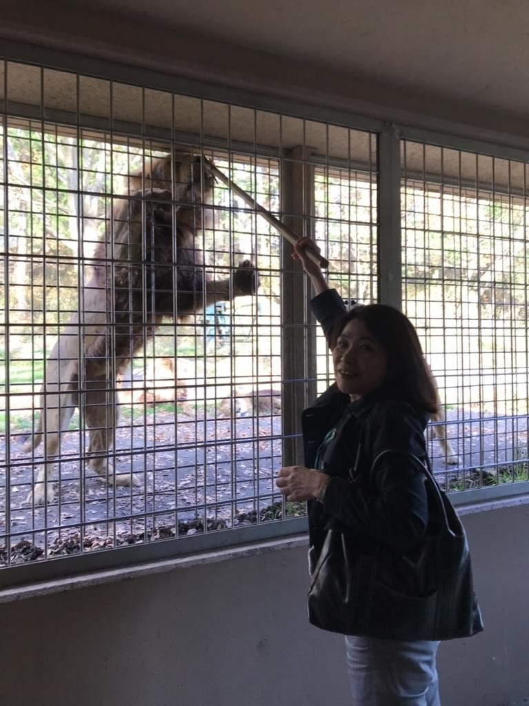 f:id:yumi-sugiura:20181111220249j:plain f:id:yumi-sugiura:20181111220249j:plain