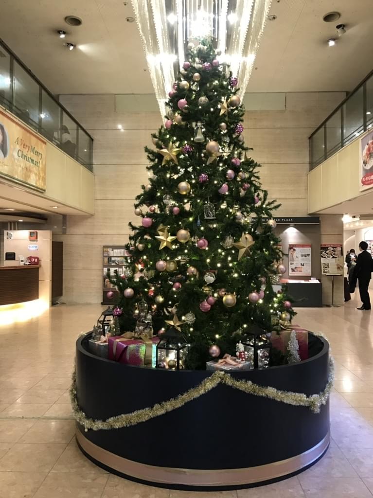 f:id:yumi-sugiura:20181202172730j:plain f:id:yumi-sugiura:20181202172730j:plain