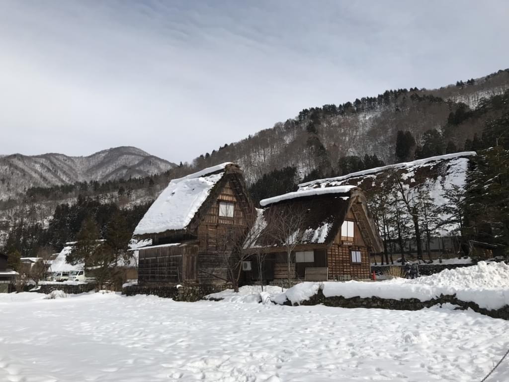 f:id:yumi-sugiura:20190123195226j:plain f:id:yumi-sugiura:20190123195226j:plain