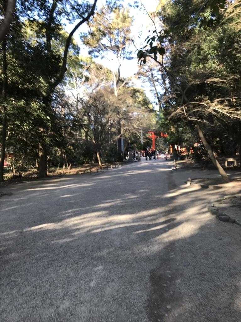 f:id:yumi-sugiura:20190114222335j:plain
