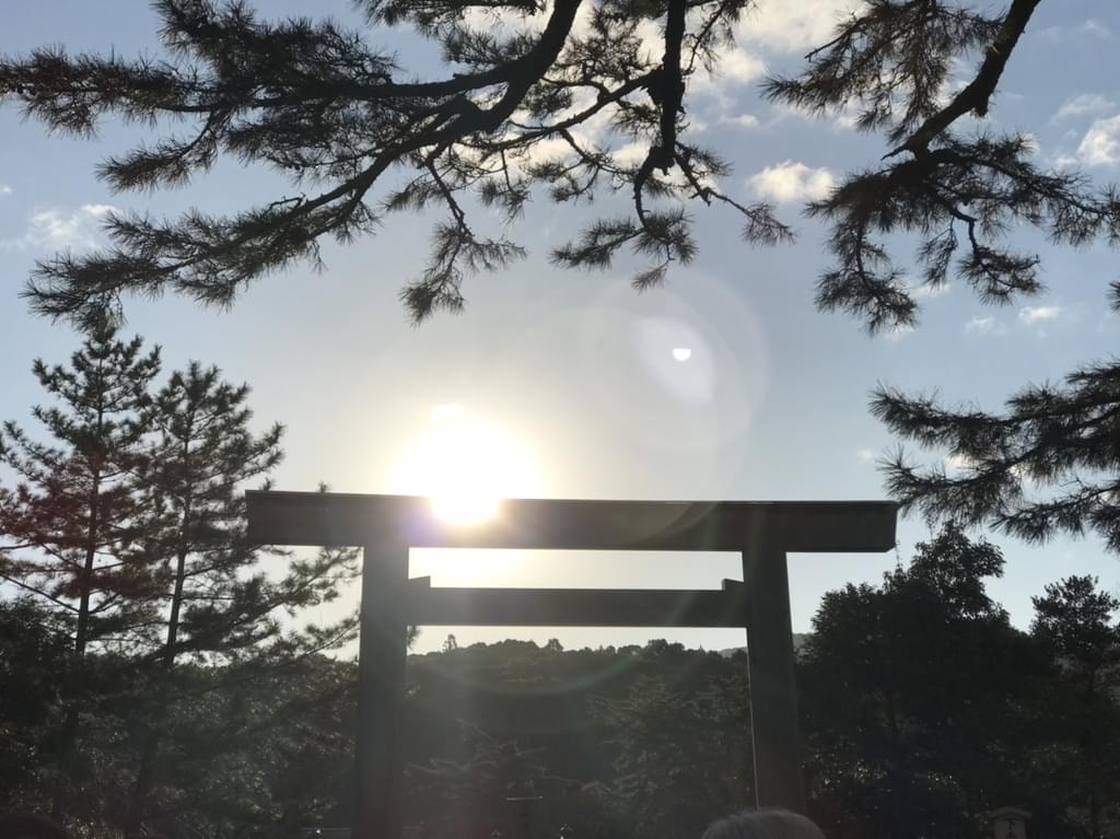 f:id:yumi-sugiura:20190103220335j:plain