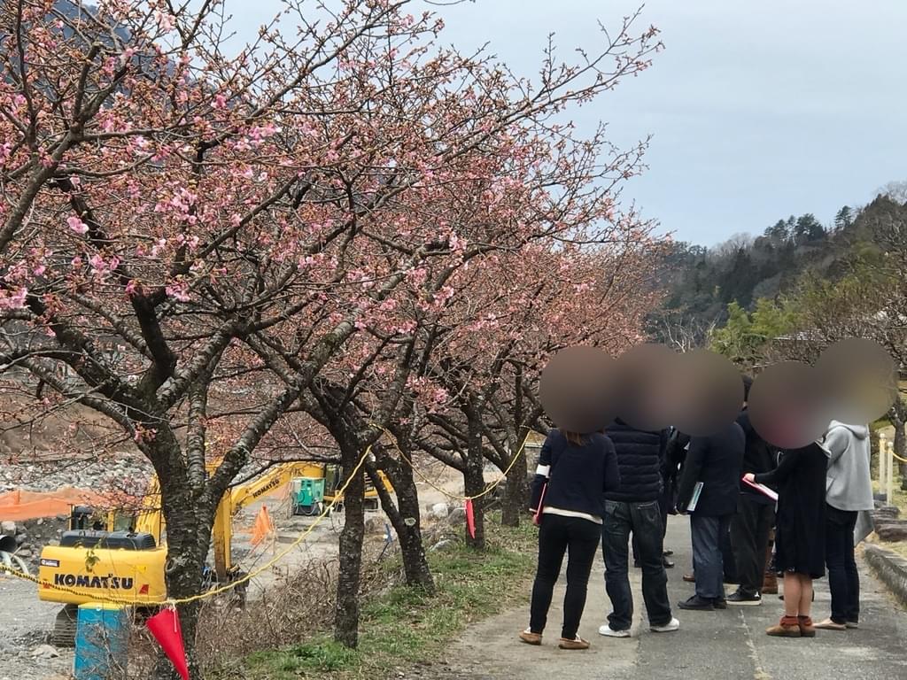 f:id:yumi-sugiura:20190310211942j:plain