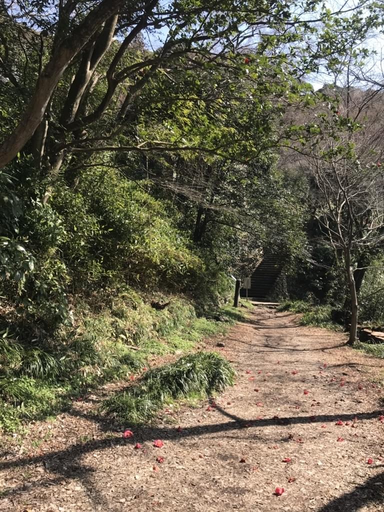 f:id:yumi-sugiura:20190305193952j:plain
