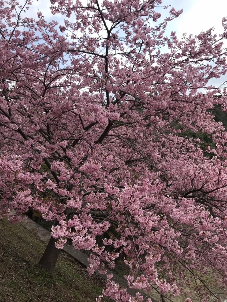 「楽しもう♪」を合言葉にするだけで、婚活は楽しくなる(^^)