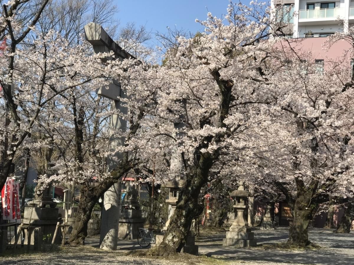 f:id:yumi-sugiura:20190403210205j:plain f:id:yumi-sugiura:20190403210205j:plain