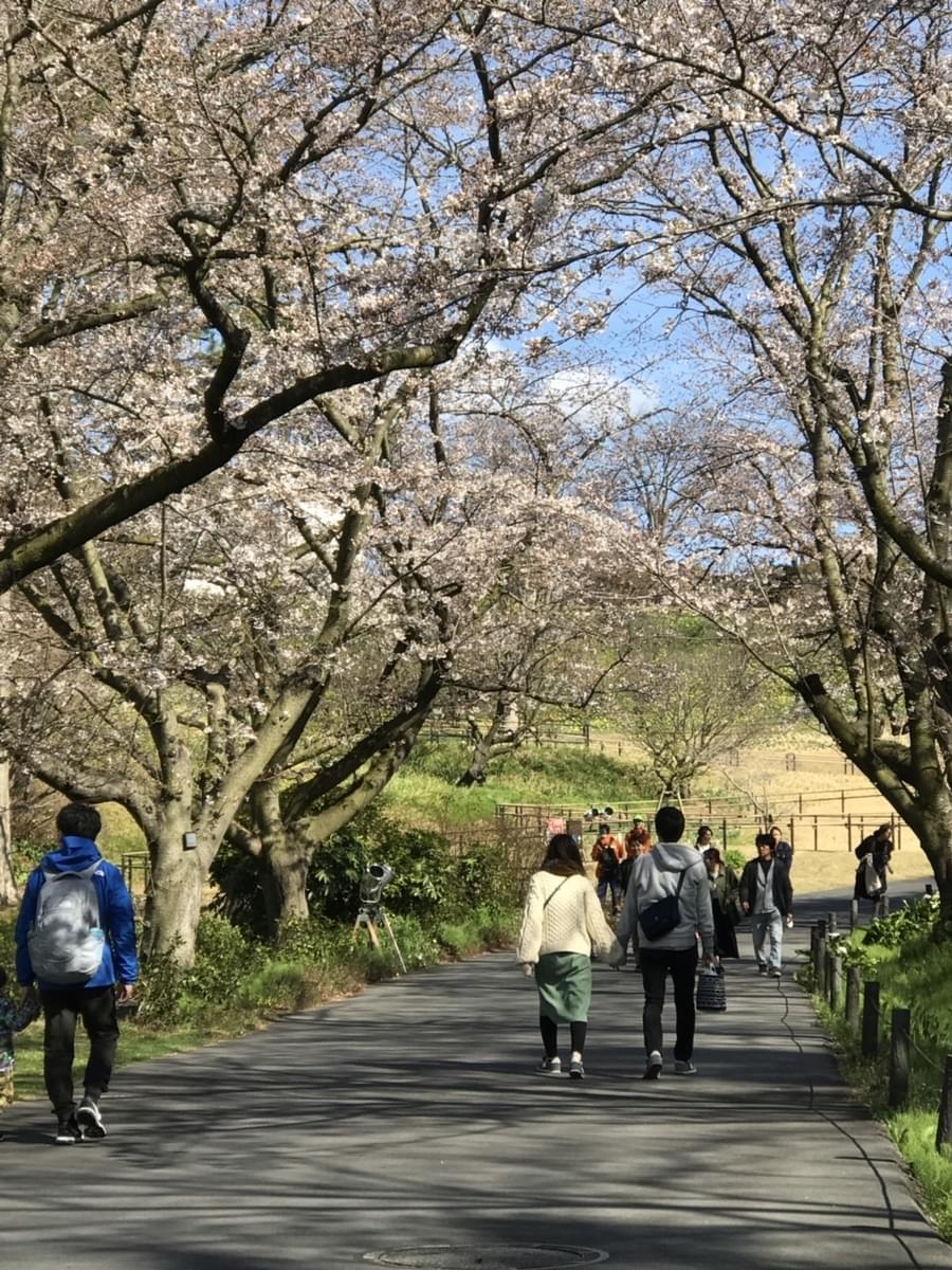 恋するバスツアーの中では、独身男女の皆さまのお悩みもお聞きしてます♪