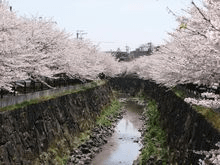 失敗はなくすべては経験♪おこったこと、もの、人に感謝すれば未来は美しい(^^)