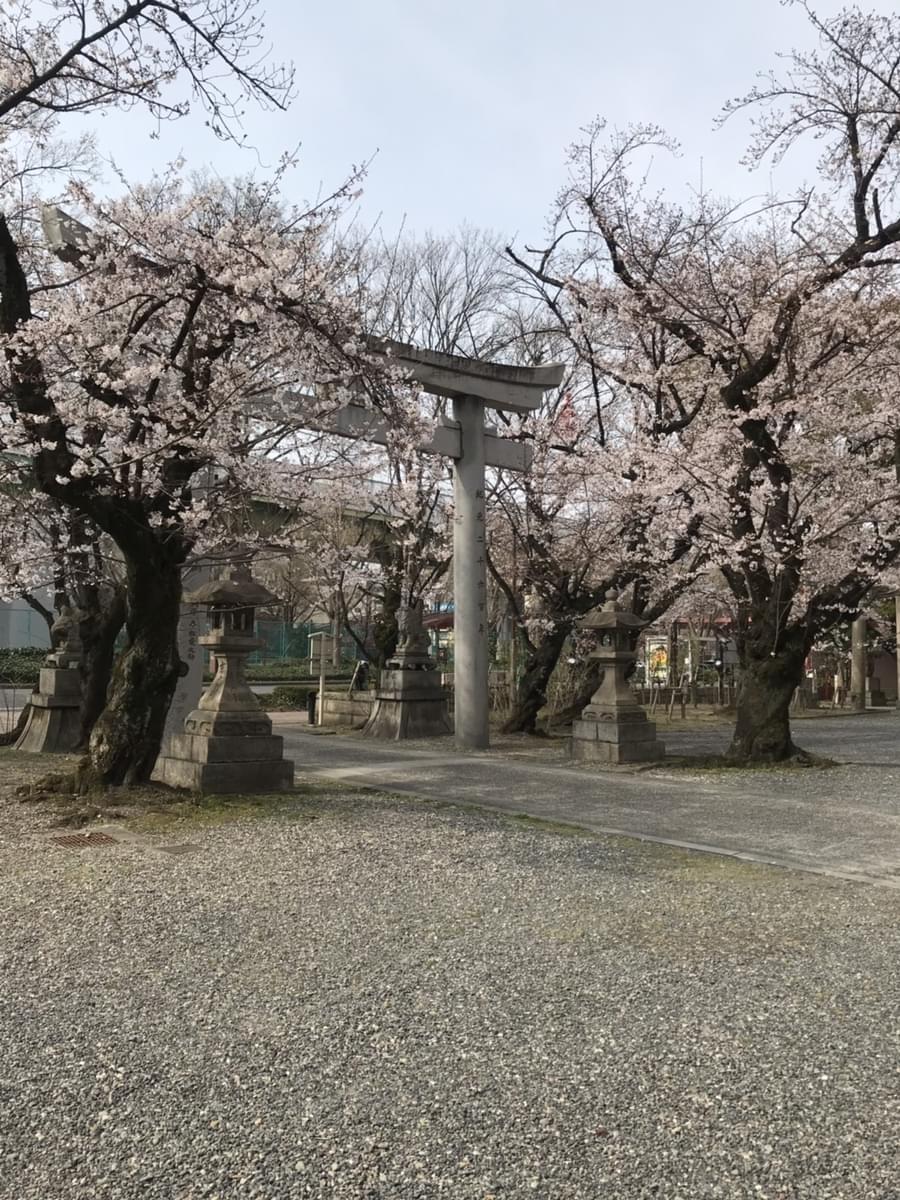 「気持ちの問題なのですが」って！なかなか、その気持ちが伝わらない(T_T)