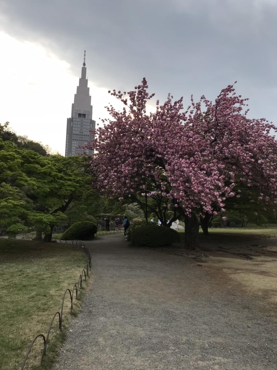 f:id:yumi-sugiura:20190419222254j:plain