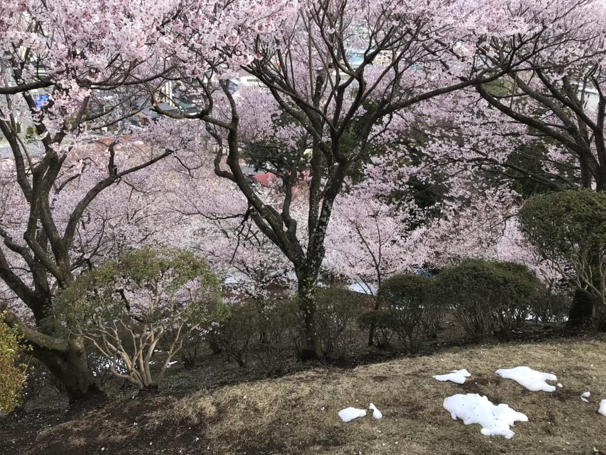 f:id:yumi-sugiura:20190418204449j:plain
