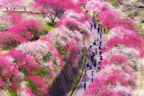 どんな時でも【人に対して優しくありたい】のですが・・・(^_^;)