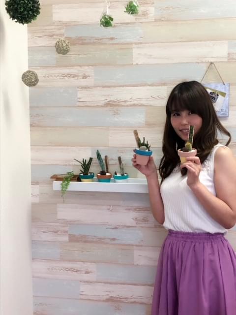 f:id:seikomurasaki2:20180802180211j:plain