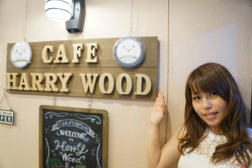 f:id:seikomurasaki2:20180717180246j:plain