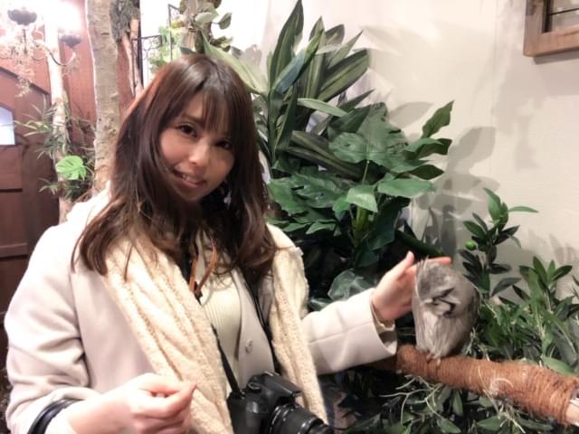 f:id:seikomurasaki2:20190214185114j:plain