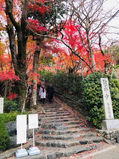 名古屋発「願いが叶う鈴虫寺と老舗「森嘉」の嵯峨湯豆腐ご膳＆京都冬の風物詩ライトアップ嵐山花灯路」の結果報告です