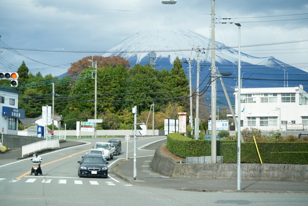 【名古屋発】11月18日(土) 静岡名物由比しらす富士山丼ランチ＆ライオンに大接近！4WDに乗ってサファリパーク一周ドキドキドライブ
