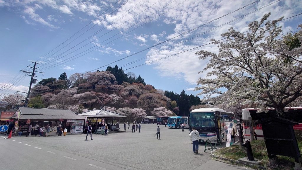 【名古屋発】4月7日（日）たっぷり3時間滞在する吉野千本桜